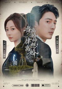 Poster for 当离婚律师想离婚
