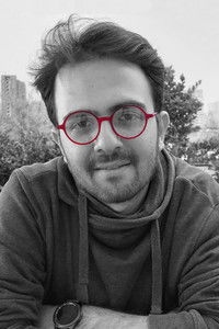 Profile of Babak Beigi