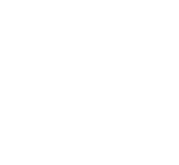Logo 21