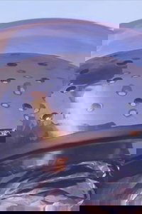 304