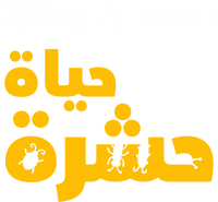 Logo 15
