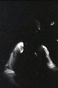 Poster for Blonde Redhead Meets Gainsbourg – Spring & by Summer Fall