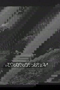 40 ans de cinéma