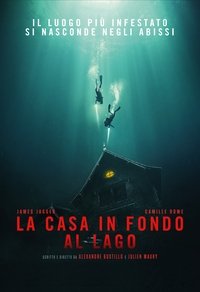 Poster 4