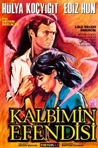 Poster for Kalbimin Efendisi