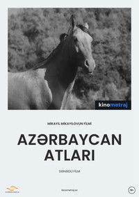 Azerbaijani Horses