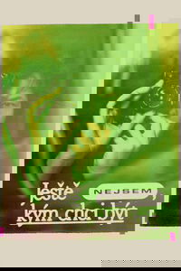 Ještě nejsem, kým chci být