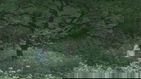 Backdrop 7