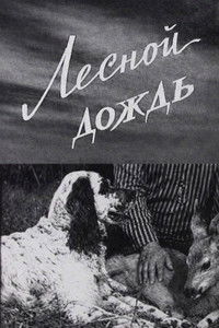 Poster for Forest Rain