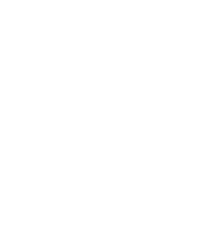Logo 41