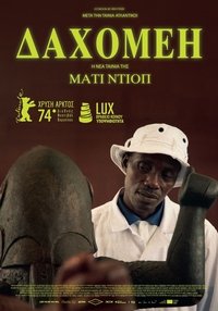Poster 13