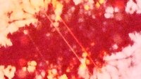Backdrop 5