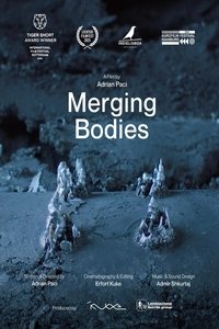 Merging Bodies