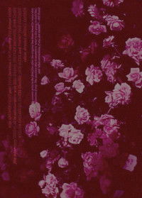 Poster for Answer Print