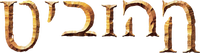 Logo 9