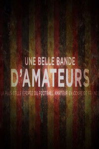 Poster for Une belle bande d'amateurs