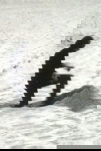 Digging Piece