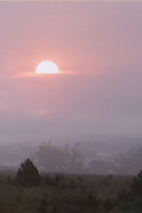 Poster for Who Gets to Fly