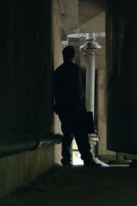 Poster for Present in Absence