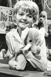 Diane Sayer