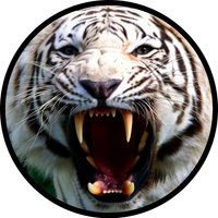 Claudius_1971's profile image