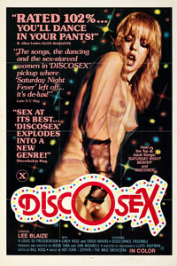 Poster for Disco Sex