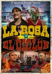 Poster 1