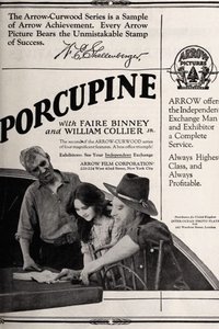 Poster for The Girl from Porcupine