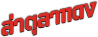 Logo 13