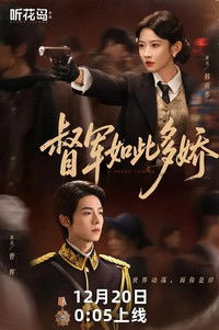 Poster for 督军如此多娇