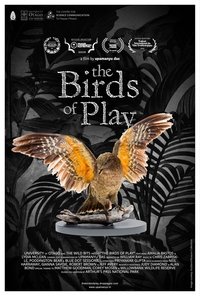 Poster for The Birds of Play