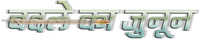 Logo 9