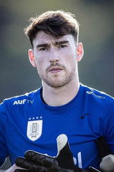 Profile of Franco Israel