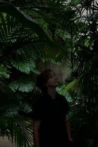 Profile of Augustine Capart