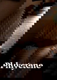 Phlyctene