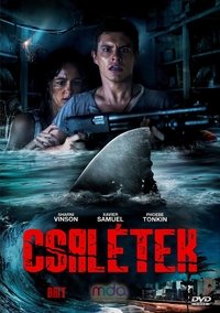 Poster 19