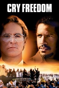 Poster 7