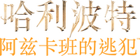 Logo 51