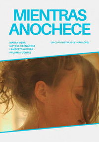 Poster for While The Night Falls