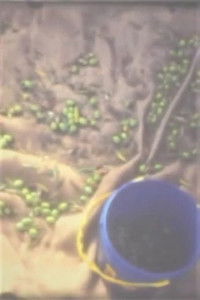 Poster for Out of Place