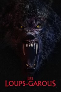 Poster 29