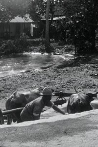 Poster for Guadeloupe, le pays des Belles-Eaux