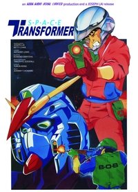 Space Transformer
