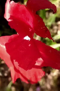 Poster for AFTERMATH