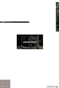 Poster for Recortes - 20240315