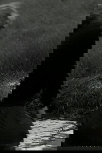La déroute