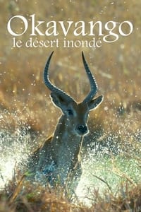 poster Okavango, le désert inondé