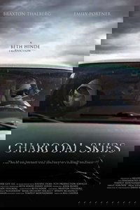 Poster 3