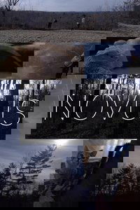 Novus
