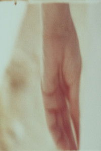 Poster for ipsae (guillermina)